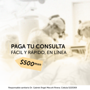Pagar consulta-500-nubody-mty